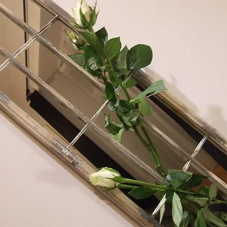 Apartament 